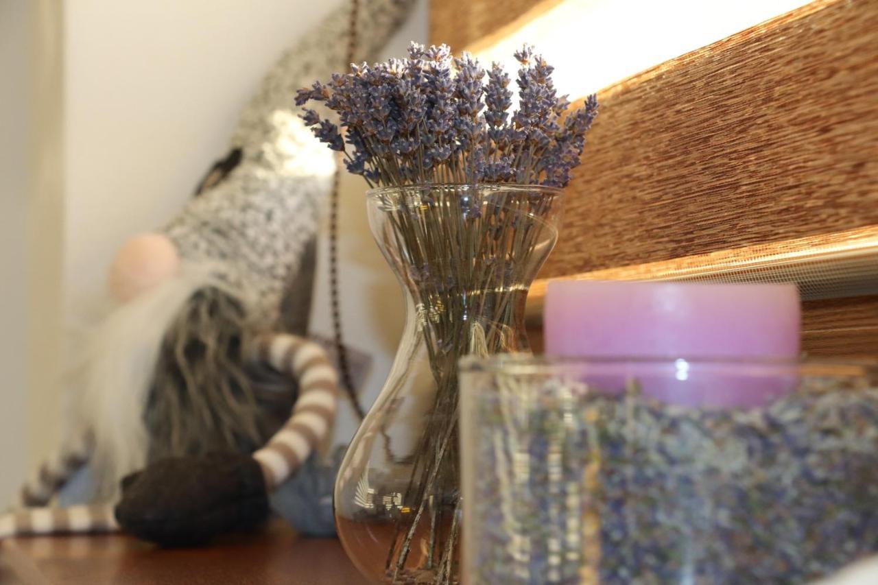 Apartman Olaf ตาตรันสกา ลอมนีจา ภายนอก รูปภาพ